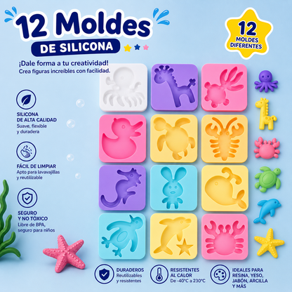 Pack 12 Moldes