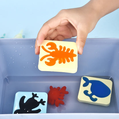 Pack 12 Moldes